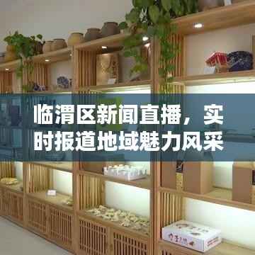 临渭区新闻直播，实时报道地域魅力风采