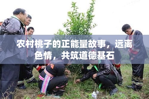 博古通今 第4页