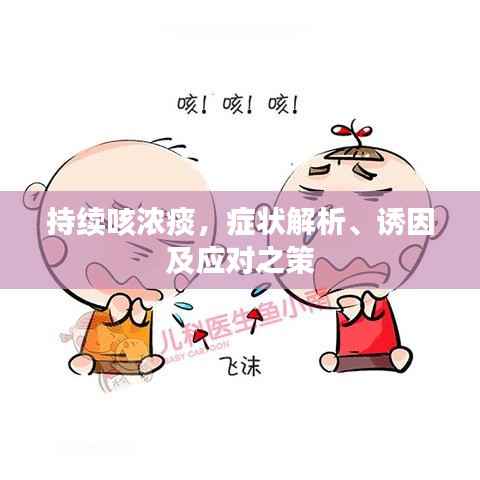 持续咳浓痰，症状解析、诱因及应对之策