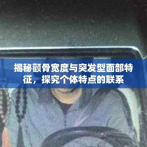 揭秘颧骨宽度与突发型面部特征，探究个体特点的联系