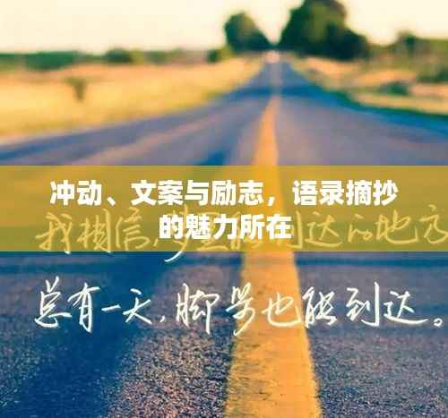 冲动、文案与励志，语录摘抄的魅力所在