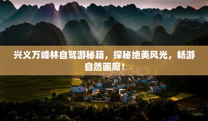 惊弓之鸟 第4页