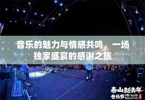 音乐的魅力与情感共鸣，一场独家盛宴的感谢之旅