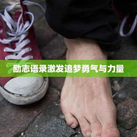 励志语录激发追梦勇气与力量