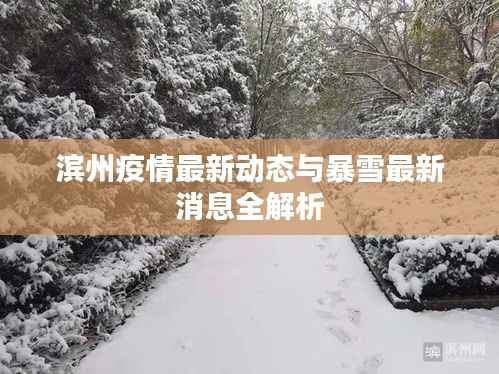 滨州疫情最新动态与暴雪最新消息全解析
