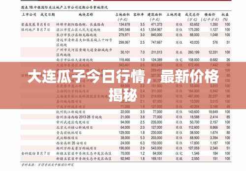 大连瓜子今日行情，最新价格揭秘
