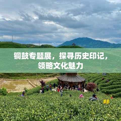 铜鼓专题展，探寻历史印记，领略文化魅力