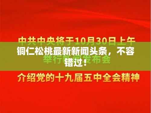 铜仁松桃最新新闻头条，不容错过！
