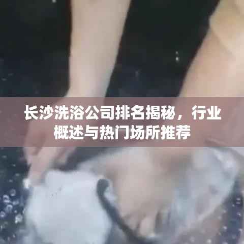 长沙洗浴公司排名揭秘，行业概述与热门场所推荐