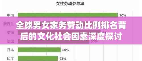全球男女家务劳动比例排名背后的文化社会因素深度探讨