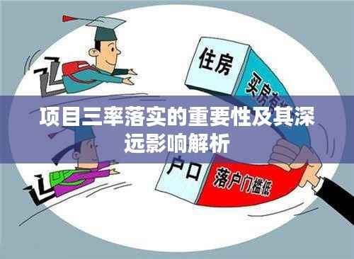 项目三率落实的重要性及其深远影响解析