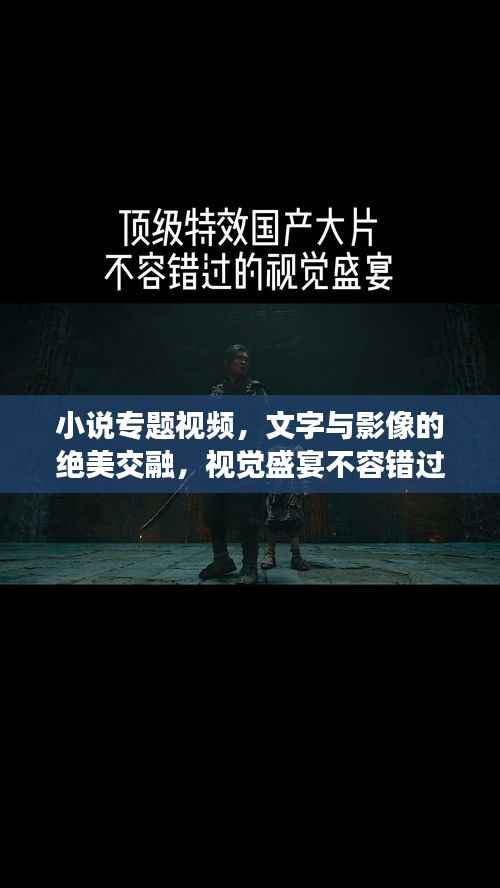 小说专题视频，文字与影像的绝美交融，视觉盛宴不容错过！