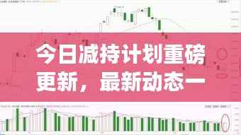 今日减持计划重磅更新，最新动态一网打尽！