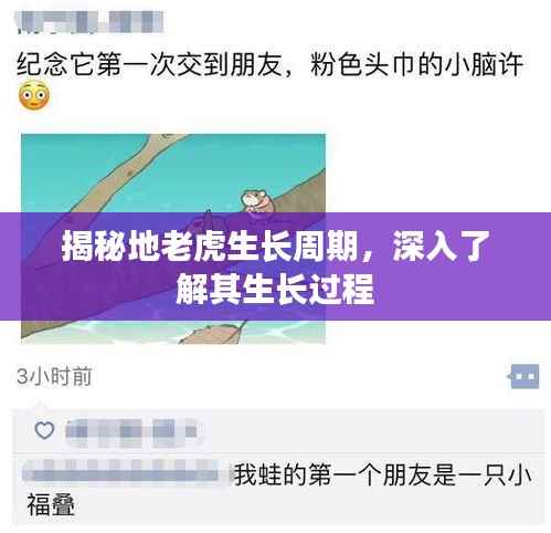 揭秘地老虎生长周期，深入了解其生长过程