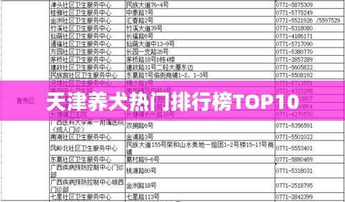 天津养犬热门排行榜TOP10