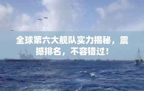 全球第六大舰队实力揭秘，震撼排名，不容错过！