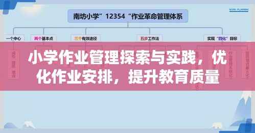 小学作业管理探索与实践，优化作业安排，提升教育质量