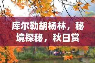 库尔勒胡杨林，秘境探秘，秋日赏枫攻略！