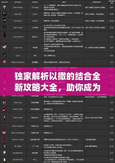 独家解析以撒的结合全新攻略大全，助你成为游戏高手！