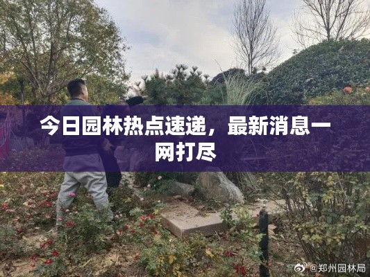 今日园林热点速递，最新消息一网打尽