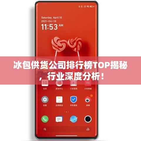 冰包供货公司排行榜TOP揭秘，行业深度分析！