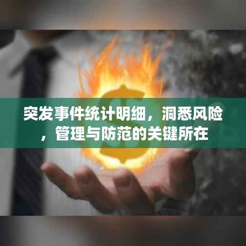 突发事件统计明细，洞悉风险，管理与防范的关键所在
