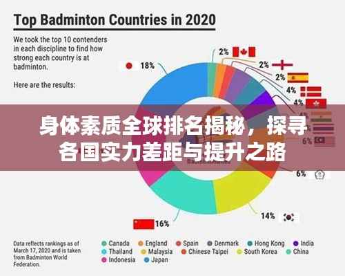 身体素质全球排名揭秘，探寻各国实力差距与提升之路