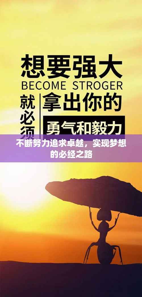 不断努力追求卓越，实现梦想的必经之路