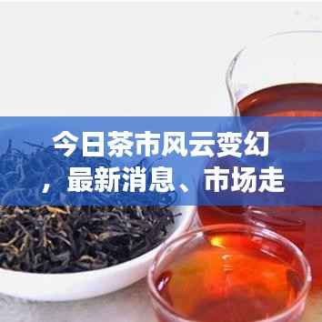 今日茶市风云变幻，最新消息、市场走势分析与未来发展趋势预测
