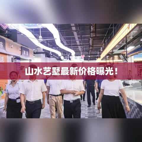 山水艺墅最新价格曝光！