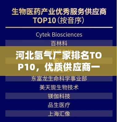 河北氢气厂家排名TOP10，优质供应商一览