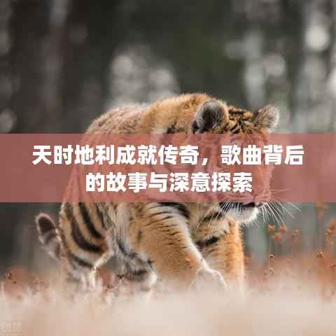 天时地利成就传奇，歌曲背后的故事与深意探索