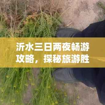 十年磨剑 第4页