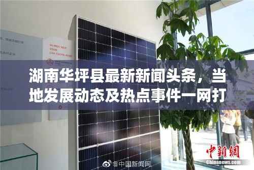 湖南华坪县最新新闻头条，当地发展动态及热点事件一网打尽