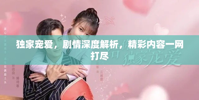 独家宠爱，剧情深度解析，精彩内容一网打尽