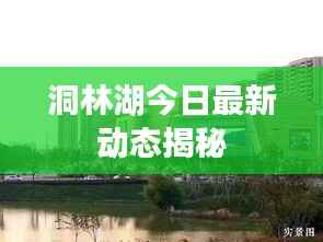 洞林湖今日最新动态揭秘