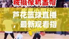芦花篮球直播，最新观看指南来袭！
