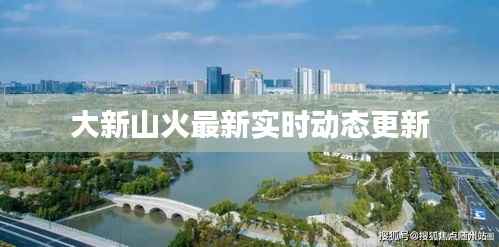大新山火最新实时动态更新