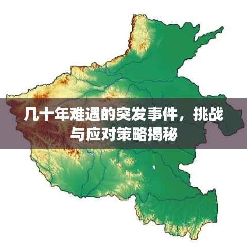 几十年难遇的突发事件，挑战与应对策略揭秘
