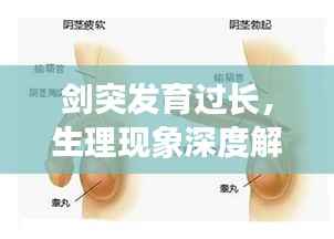 虫蚀鸟步 第5页