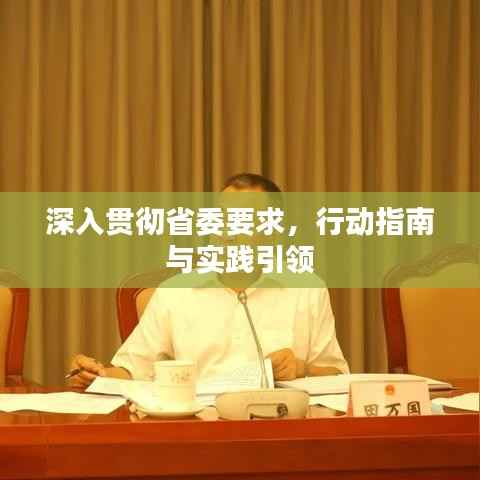深入贯彻省委要求，行动指南与实践引领