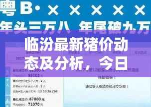 临汾最新猪价动态及分析，今日价格走势一网打尽
