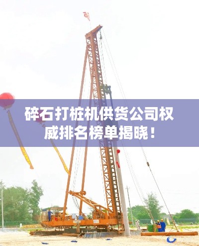 百不得一 第5页