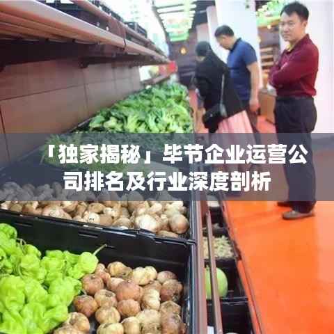 「独家揭秘」毕节企业运营公司排名及行业深度剖析