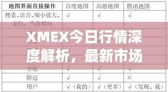 XMEX今日行情深度解析，最新市场动态一网打尽