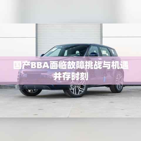 国产BBA面临故障挑战与机遇并存时刻