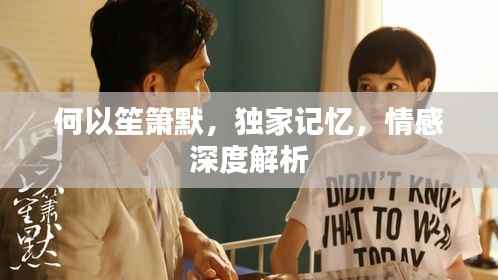 何以笙箫默，独家记忆，情感深度解析