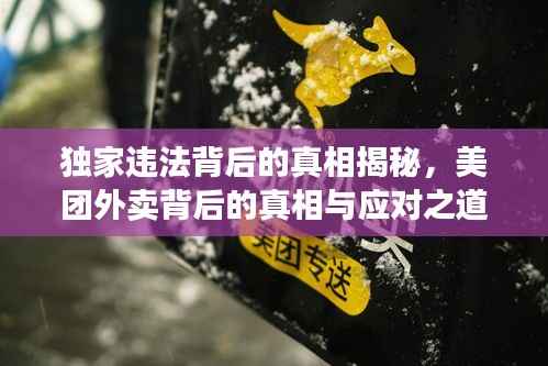 独家违法背后的真相揭秘，美团外卖背后的真相与应对之道