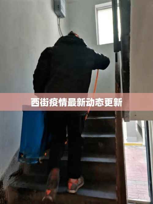 西街疫情最新动态更新