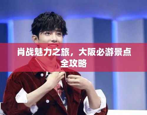 肖战魅力之旅，大阪必游景点全攻略